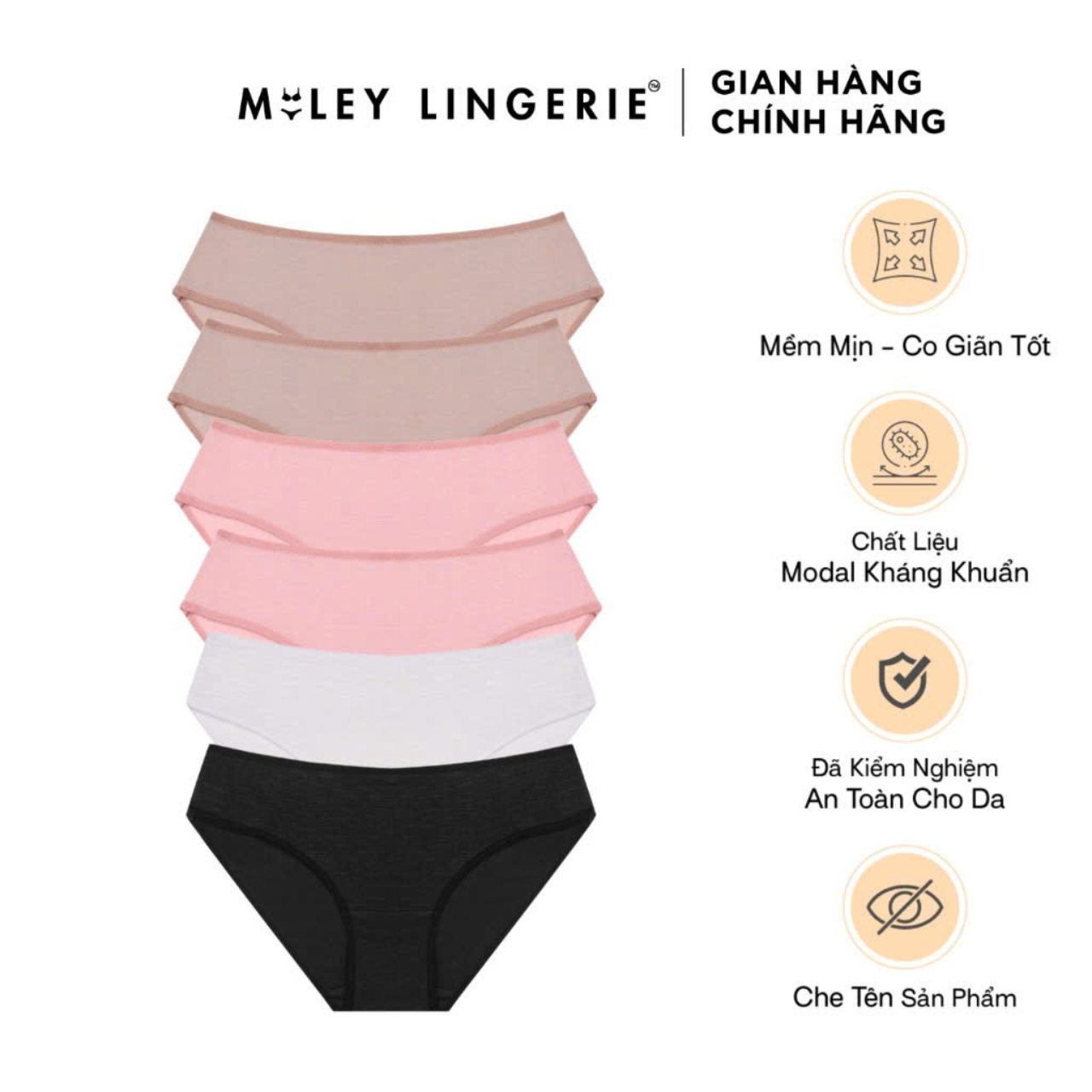 Combo 6 cotton flexi basic Miley lingerie-delivered color random