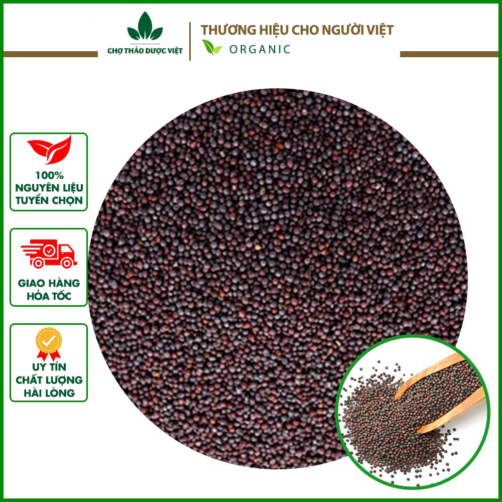 100g Hạt mù tạt đen nguyên chất - Chợ Thảo Dược Việt