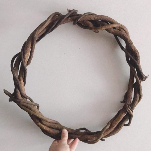 Dây rừng trang trí.( 2met), làm cây leo giả