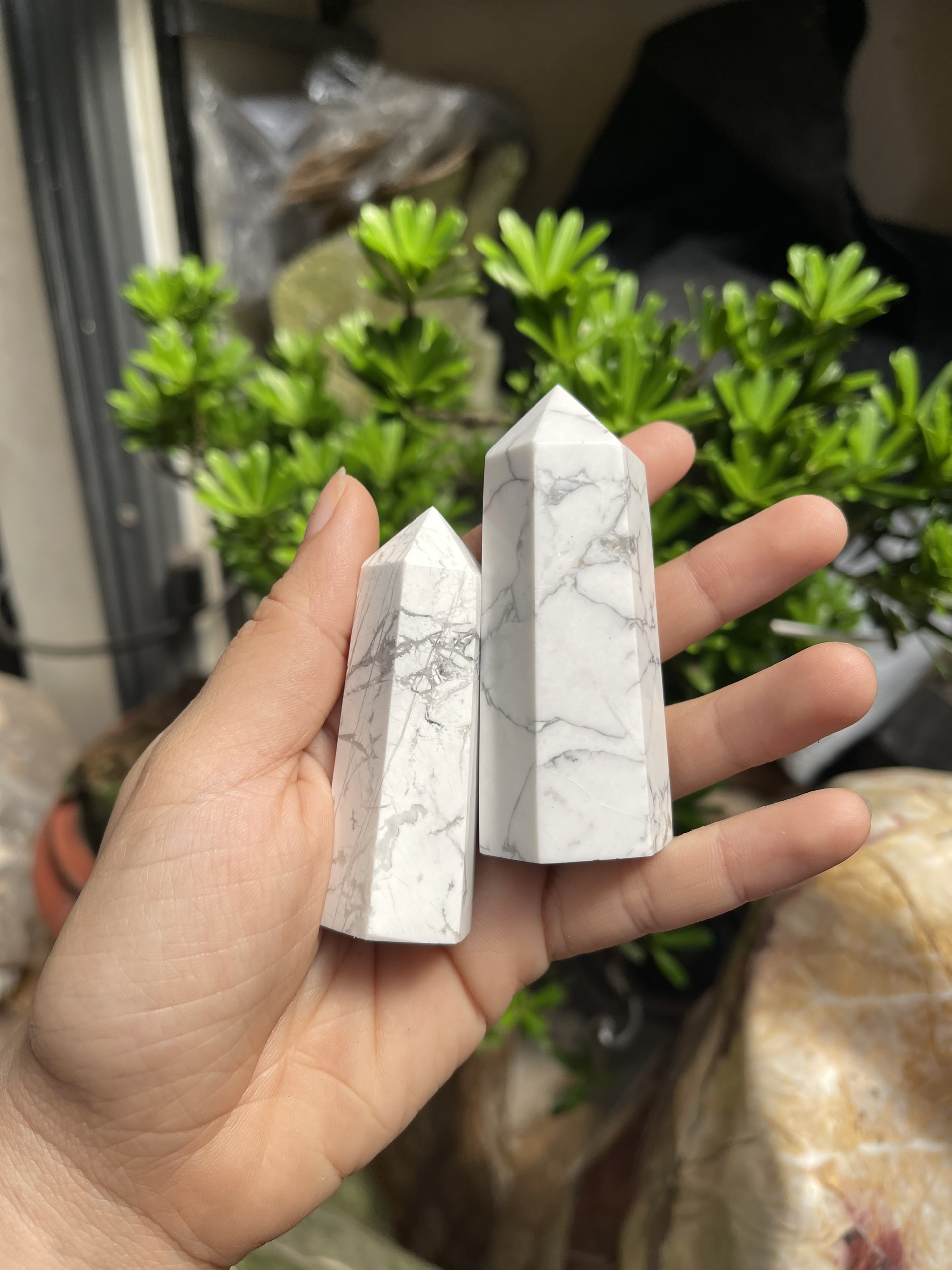 Howlite point – trụ đá bạch tùng | trụ đá thanh tẩy, tarot, sưu tầm | cada decor