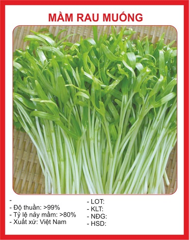 Hạt giống mầm rau muống - 50gram