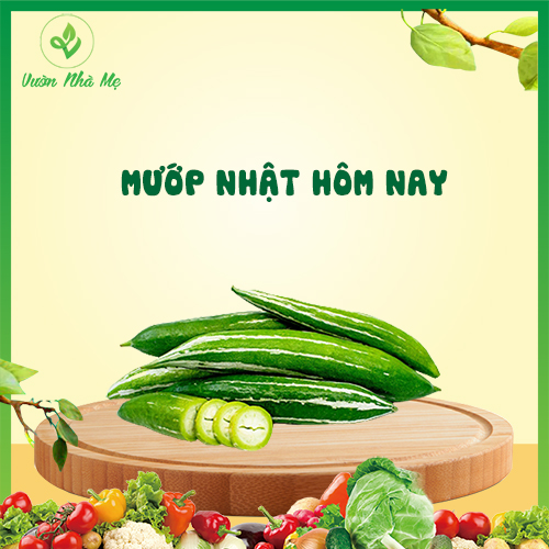 [Giao nội thành Hà Nội] Mướp nhật, quả lặc lày Vườn Nhà Mẹ - 1 kg lặc lè ngon - Rau củ quả tươi, sạch, chuẩn VietGap