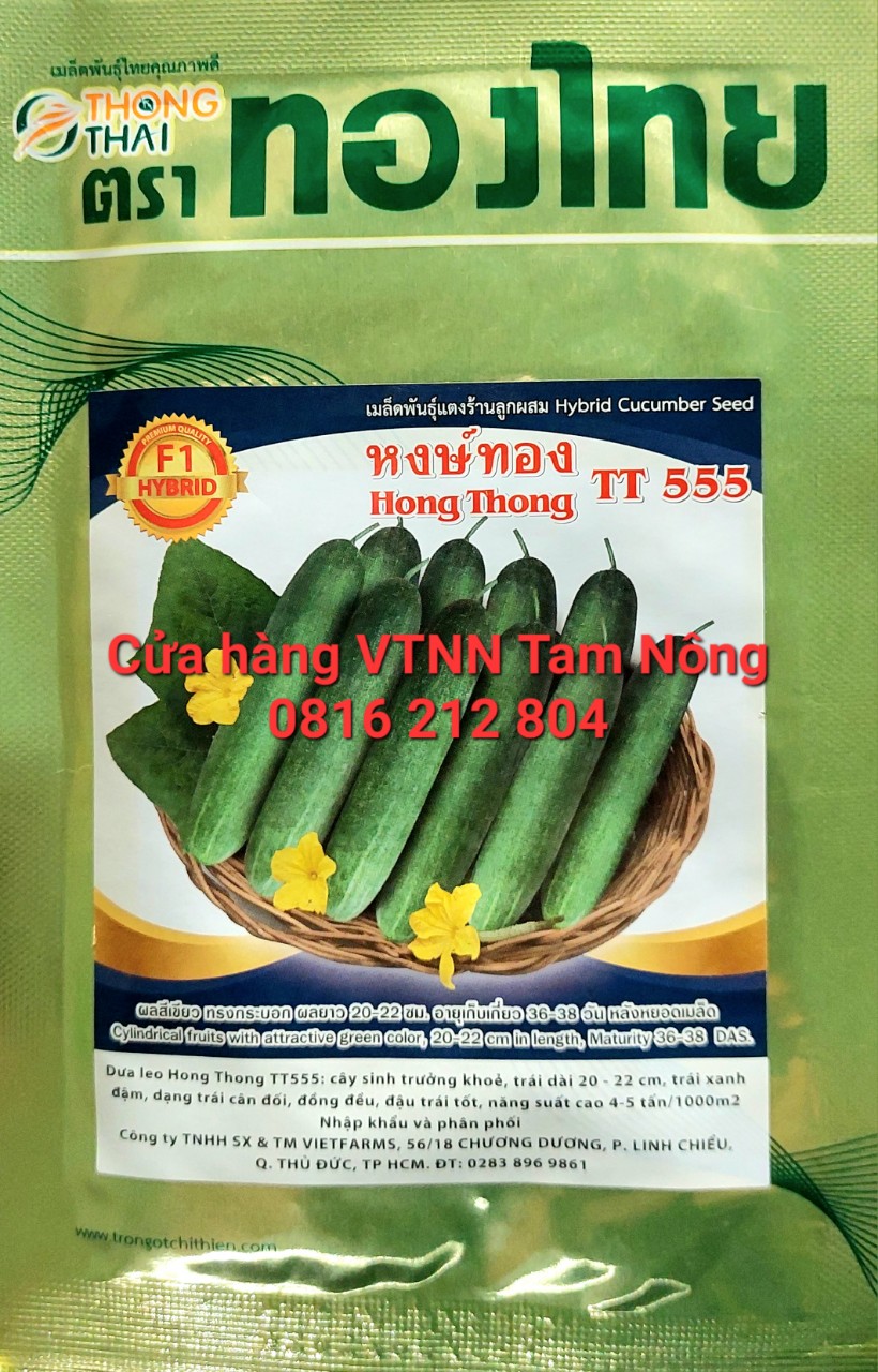 Hạt giống dưa leo siêu trái lai f1 _ hong thong tt555_ nhập khẩu thái lan