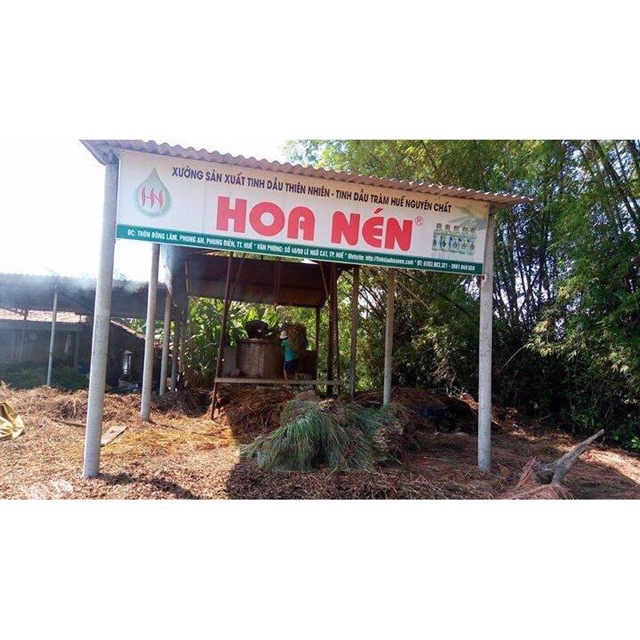 Tinh dầu tràm nguyên chất Hoa Nén