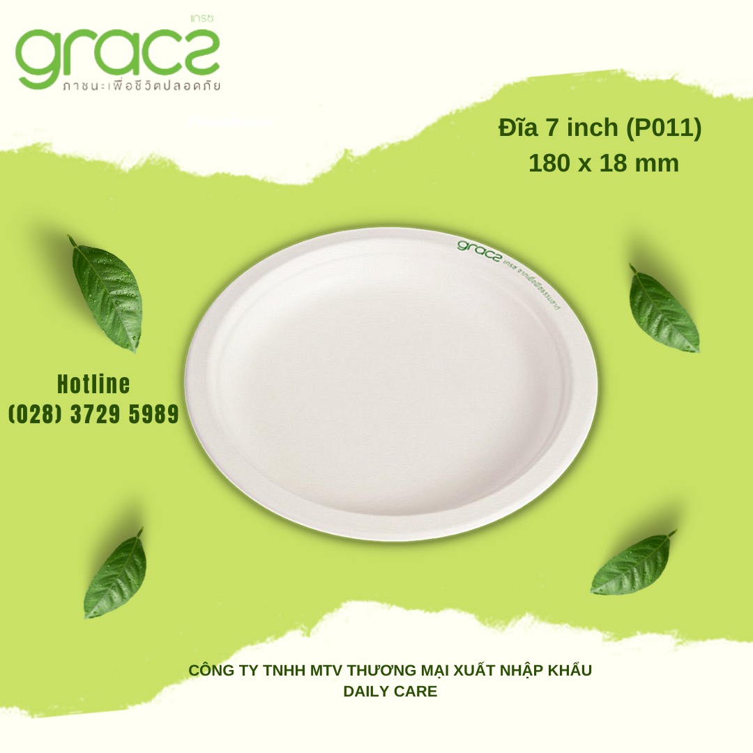 10 đĩa bã mía thái lan 7 inch ~18cm