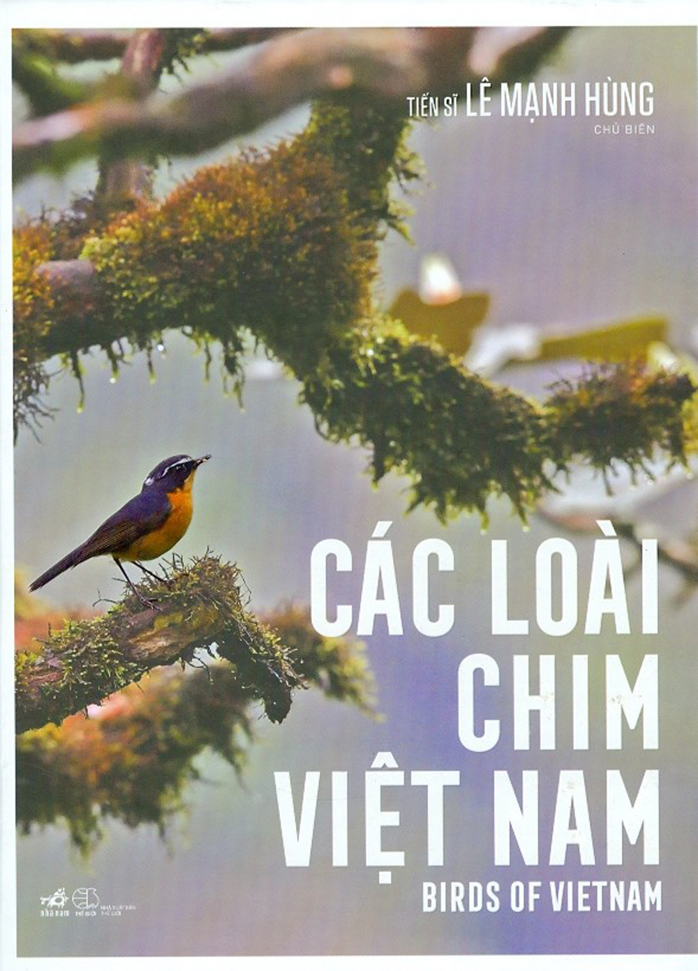 Các Loài Chim Việt Nam