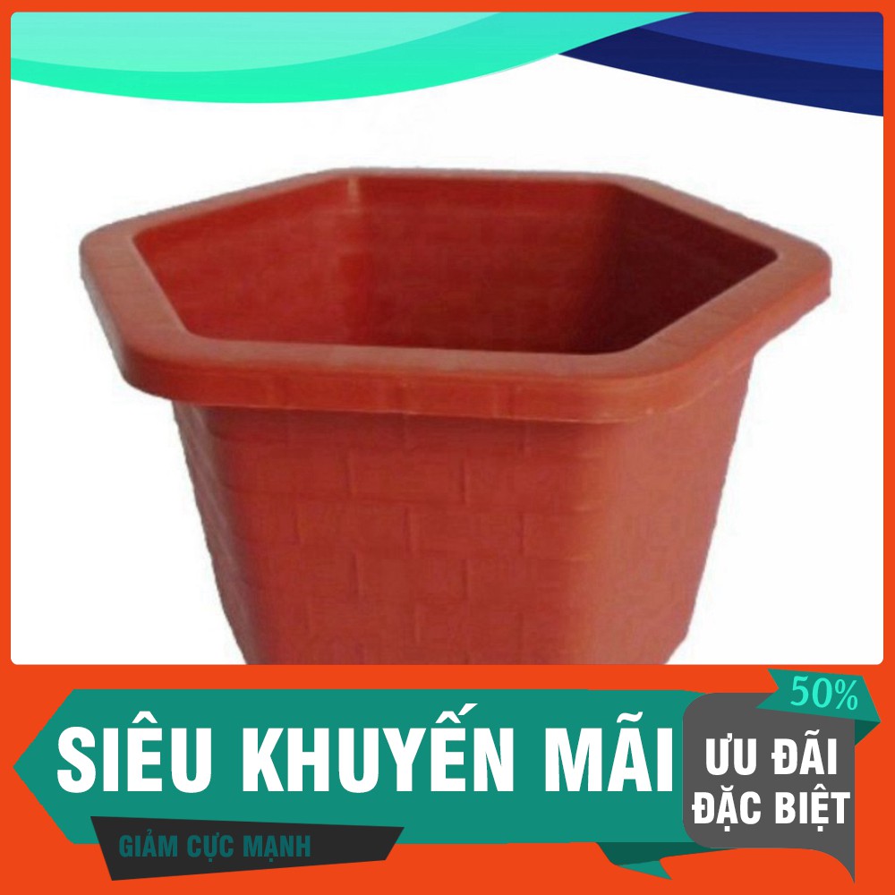 5 Chậu nhựa lục giác trồng cây, hoa hồng ( 30cm x20cm )