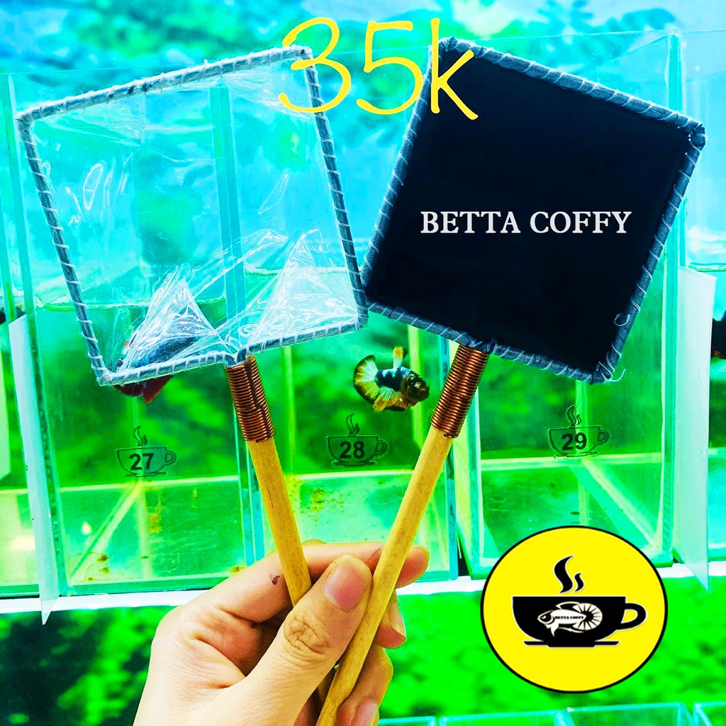 Vợt vớt cá betta - guppy - show cá