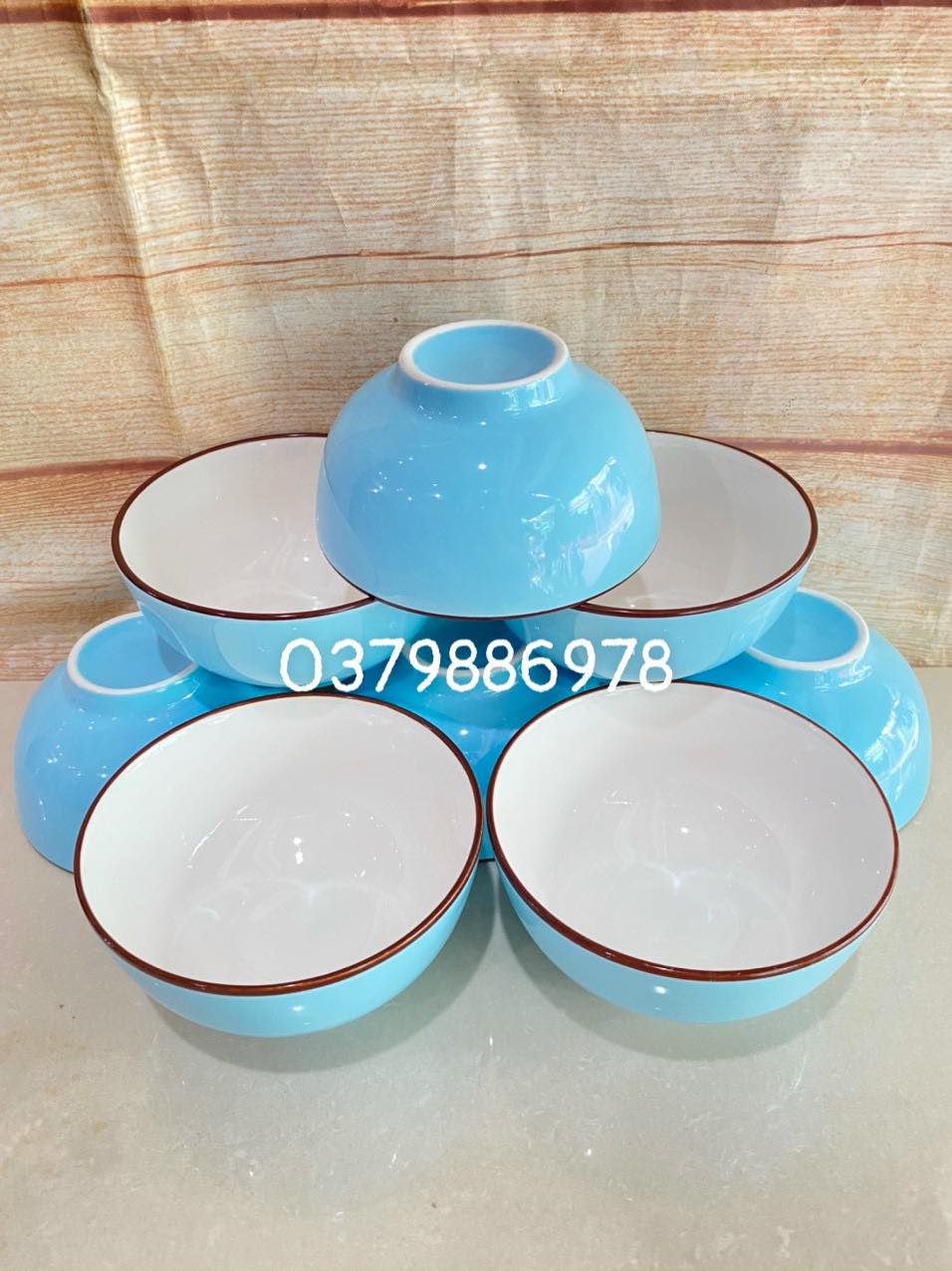 Bộ 10 chén sứ ăn cơm màu xanh pastel cao cấp