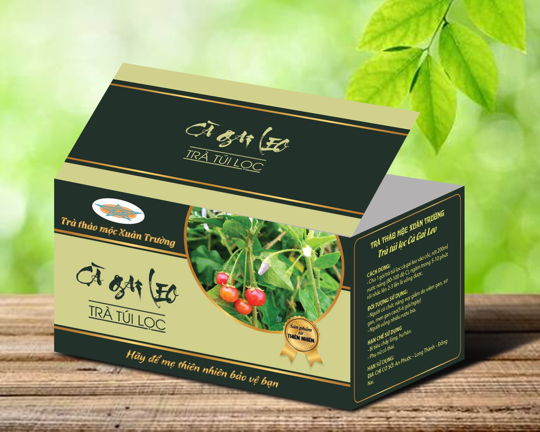 Trà túi lọc cà gai leo xuân trường