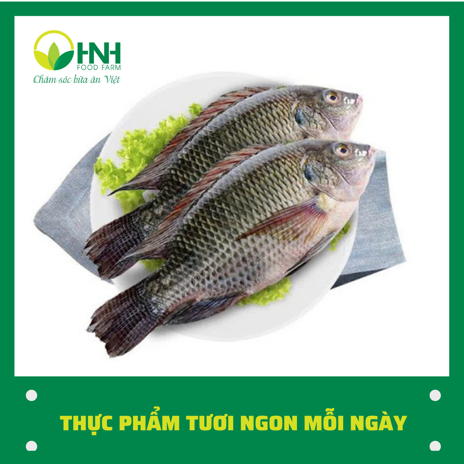 [CHỈ GIAO HÀ NỘI] Cá rô phi nguyên con size to chuẩn sạch ngon, trợ giá mùa dịch - HNH Food Farm