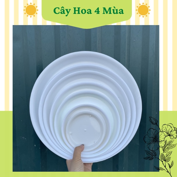 Đĩa lót chậu hình tròn bằng nhựa size từ 15cm đến 30cm