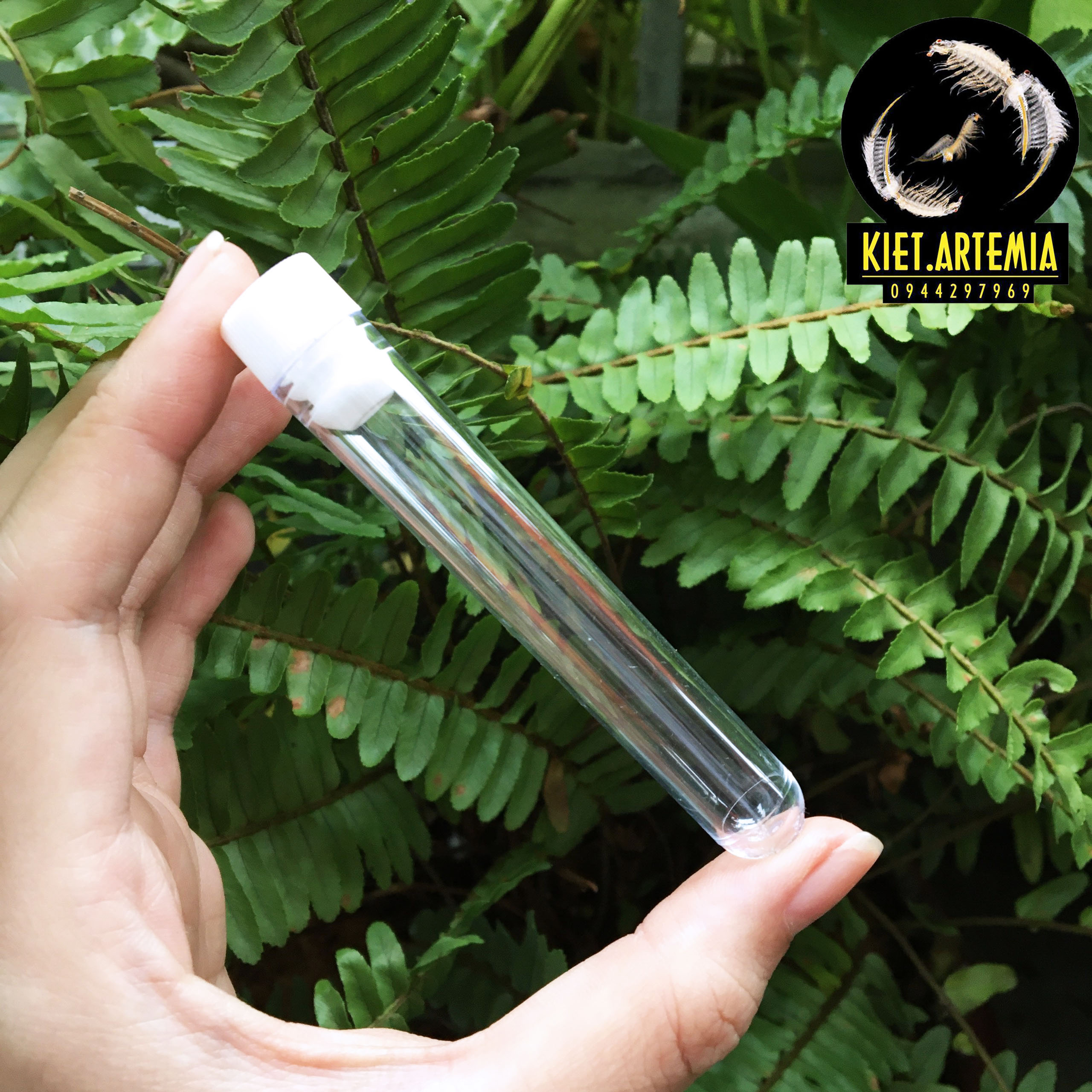 Ống Trữ Artemia, Thức Ăn Cho Cá