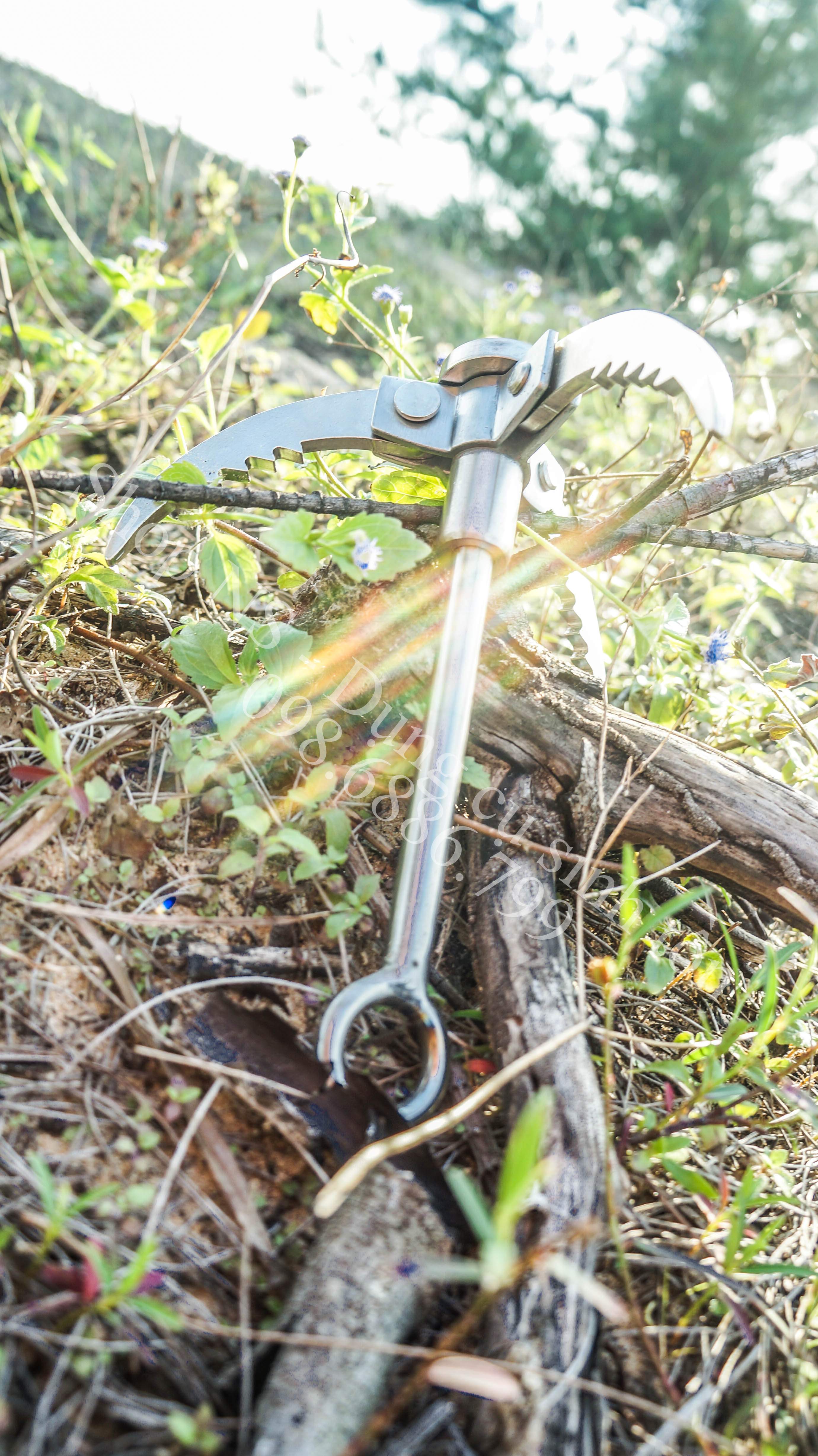 Móc leo núi, leo cây, leo tường 3 chấu inox chịu lực 450kg - có thể gấp gọn