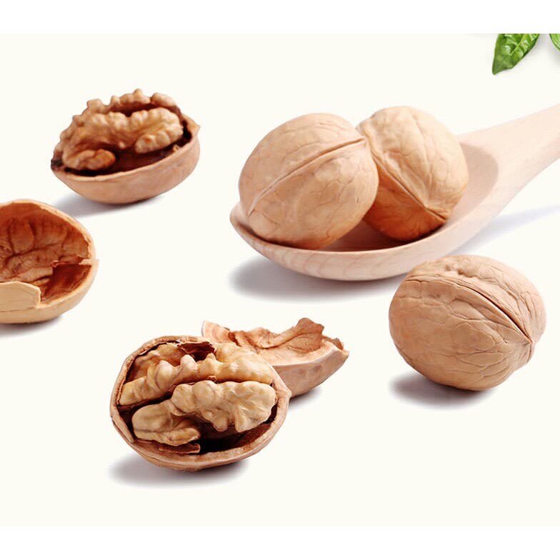 500GR QUẢ ÓC CHÓ SAPA NHÂN MẨY MỎNG VỎ