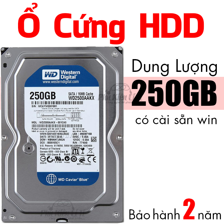 Ổ cứng HDD máy tính bàn WD 250GB Cài sẵn hệ điều hành Bảo Hành 2 Năm