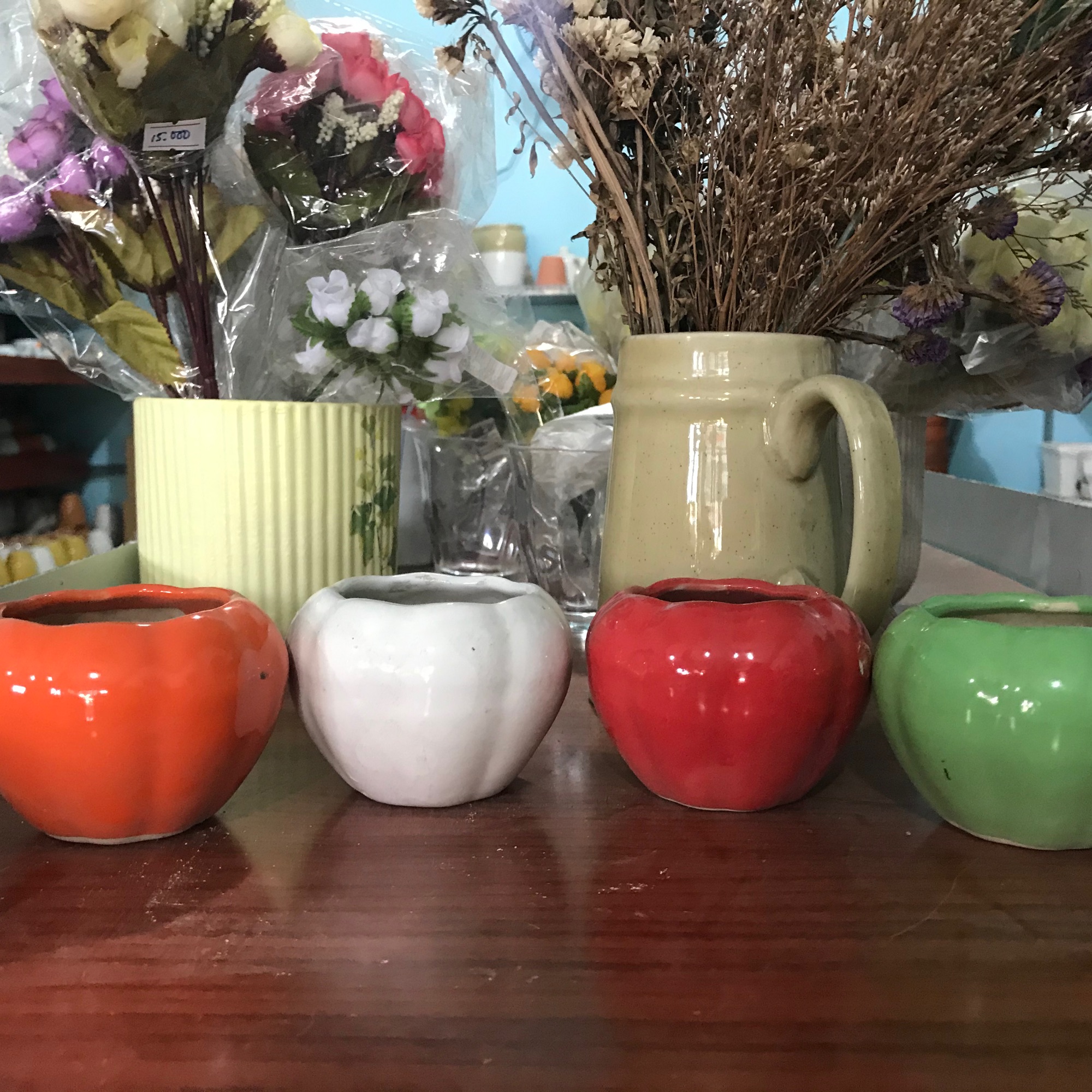 Chậu sứ trồng cây
