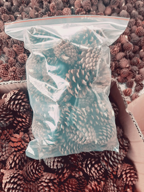 Trái thông làm đồ handmade Đà Lạt túi 40 quả nhiều cỡ