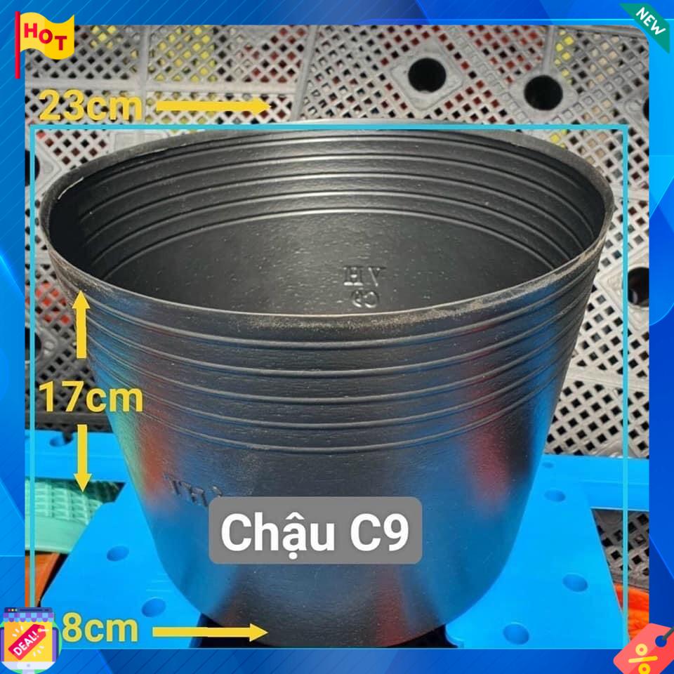 Chậu nhựa dẻo C9