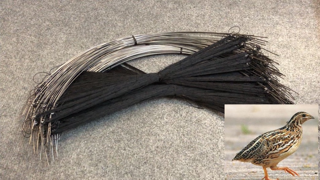 cung bẫy chim cút tàng hình màu cỏ khô 1 bộ 10 chiếc