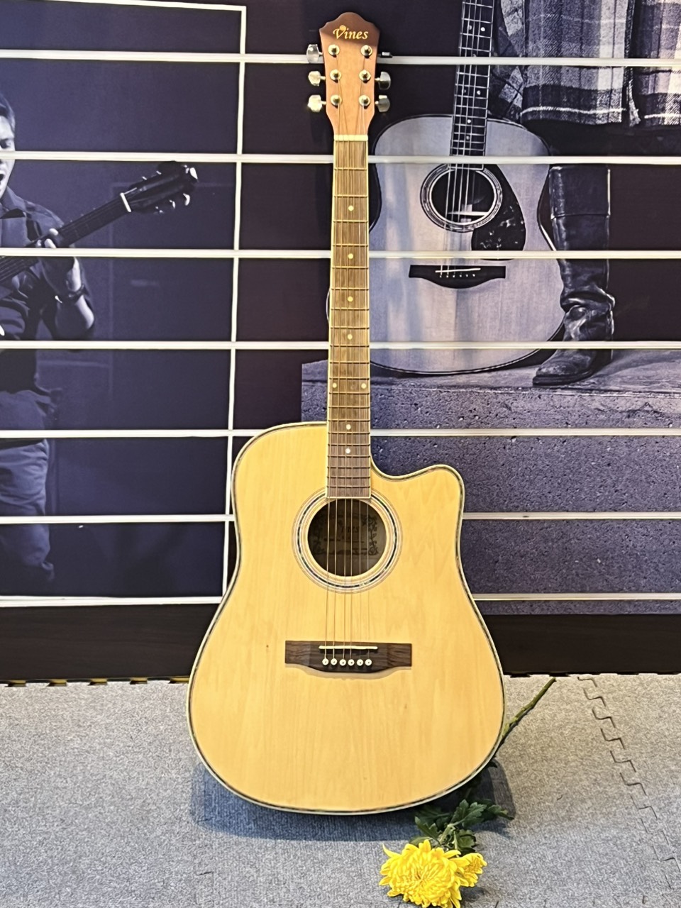 Đàn guitar acoustic vines va4125n chính hãng