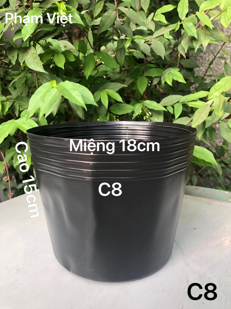 Chậu nhựa tròng hoa 50 cái C8 đen dày dặn bóng dẻo
