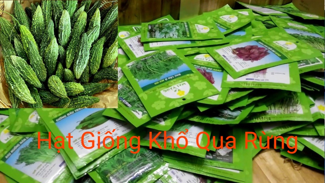 Hạt Giống Khổ Qua Rừng (Mướp Đắng Rừng)