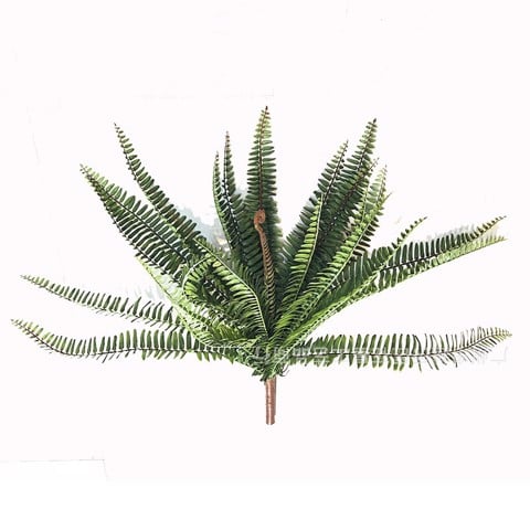Cành dương sỉ giả, lá dương sỉ, cây dương sỉ 071