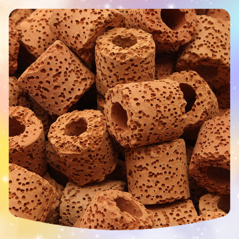 Sứ Lỗ Đỏ vật liệu lọc hồ cá cảnh