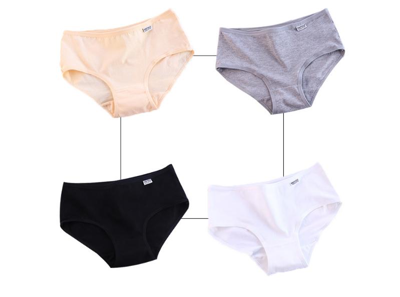 Set 5 quần lót cotton cao cấp