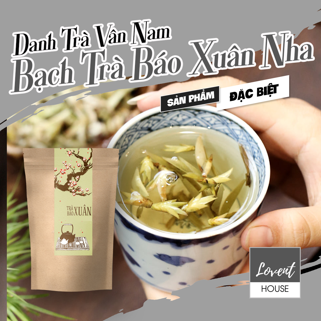Trà báo xuân - bạch trà tiên - những búp trà báo hiệu mùa xuân về, ngọt thơm thanh nhã 100g - lovent house