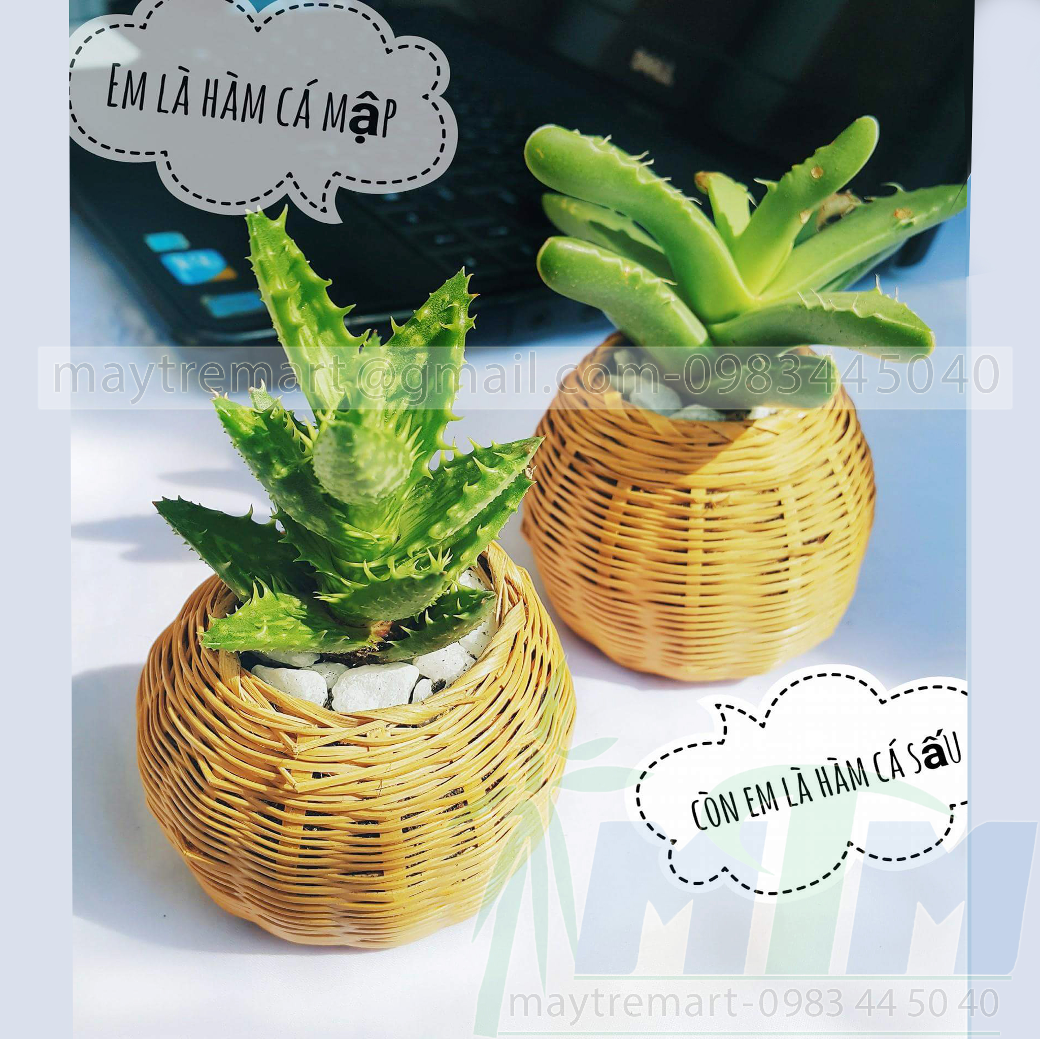 Giỏ tre hũ thóc nhí trồng cây mini / Phụ kiện trang trí.