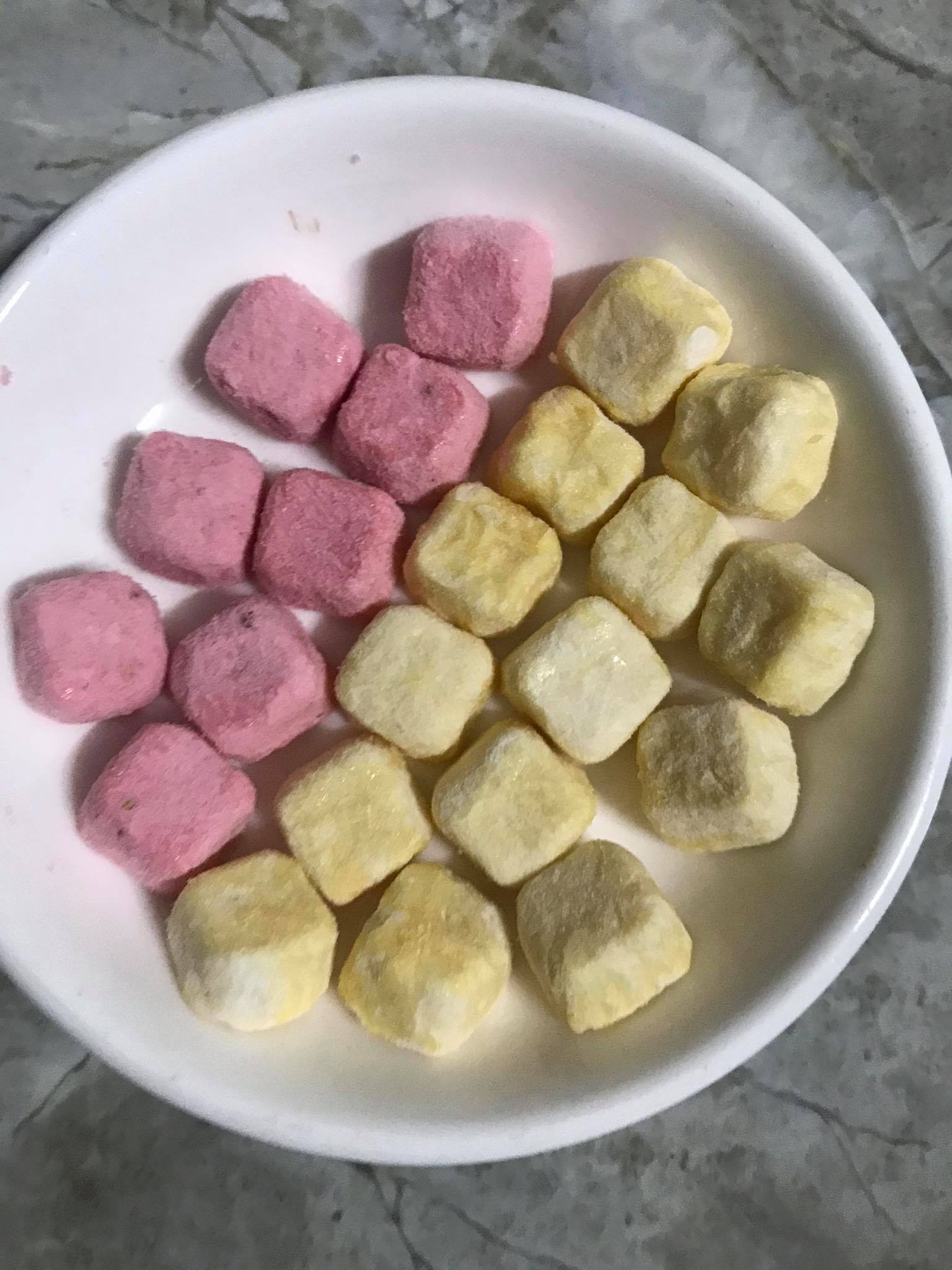Sữa chua khô hoa quả sấy lạnh