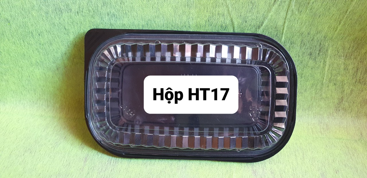 50 HỘP NHỰA HT - 17