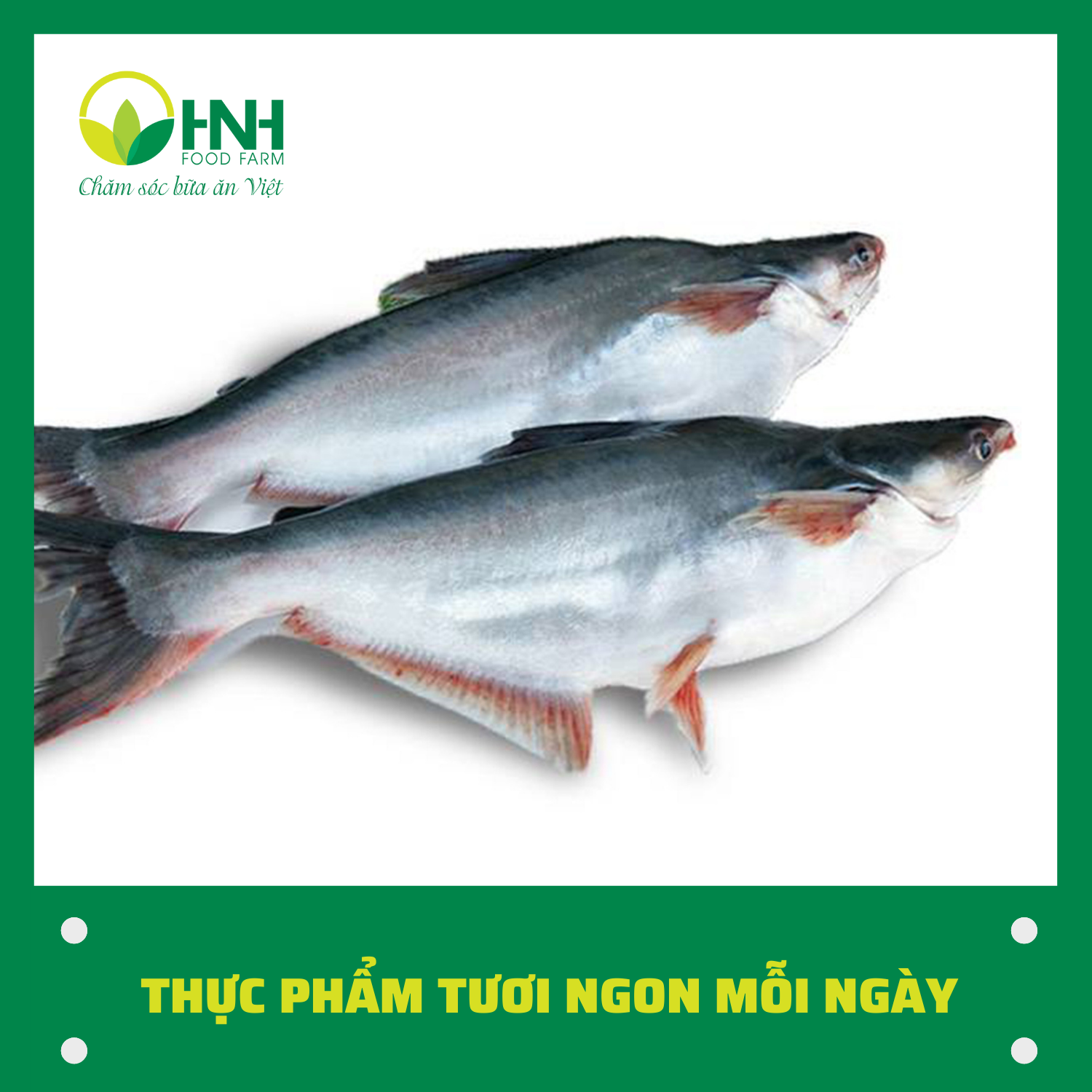 [CHỈ GIAO HÀ NỘI] Cá ba sa (basa) nguyên con 1kg sạch chuẩn ngon trợ giá mùa dịch - HNH Food Farm