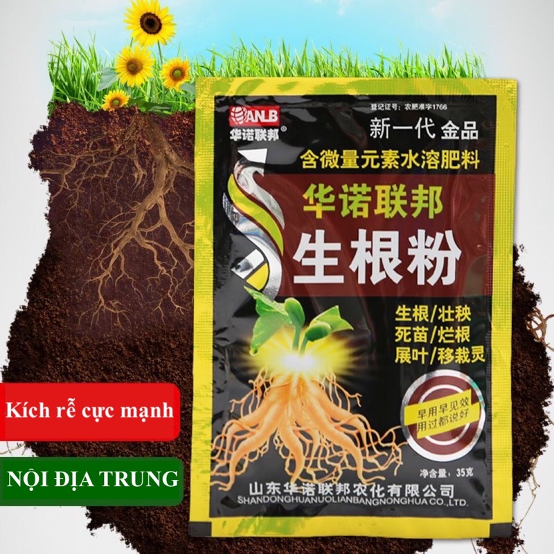 Thuốc kích rễ, siêu kích rễ, kích rễ cực mạnh, nội địa Trung 35gr