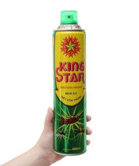 Bình xịt muỗi, kiến, côn trùng KING STAR 600ml