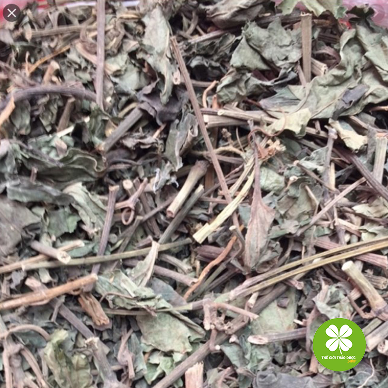 1kg cây lá lốt khô - td236