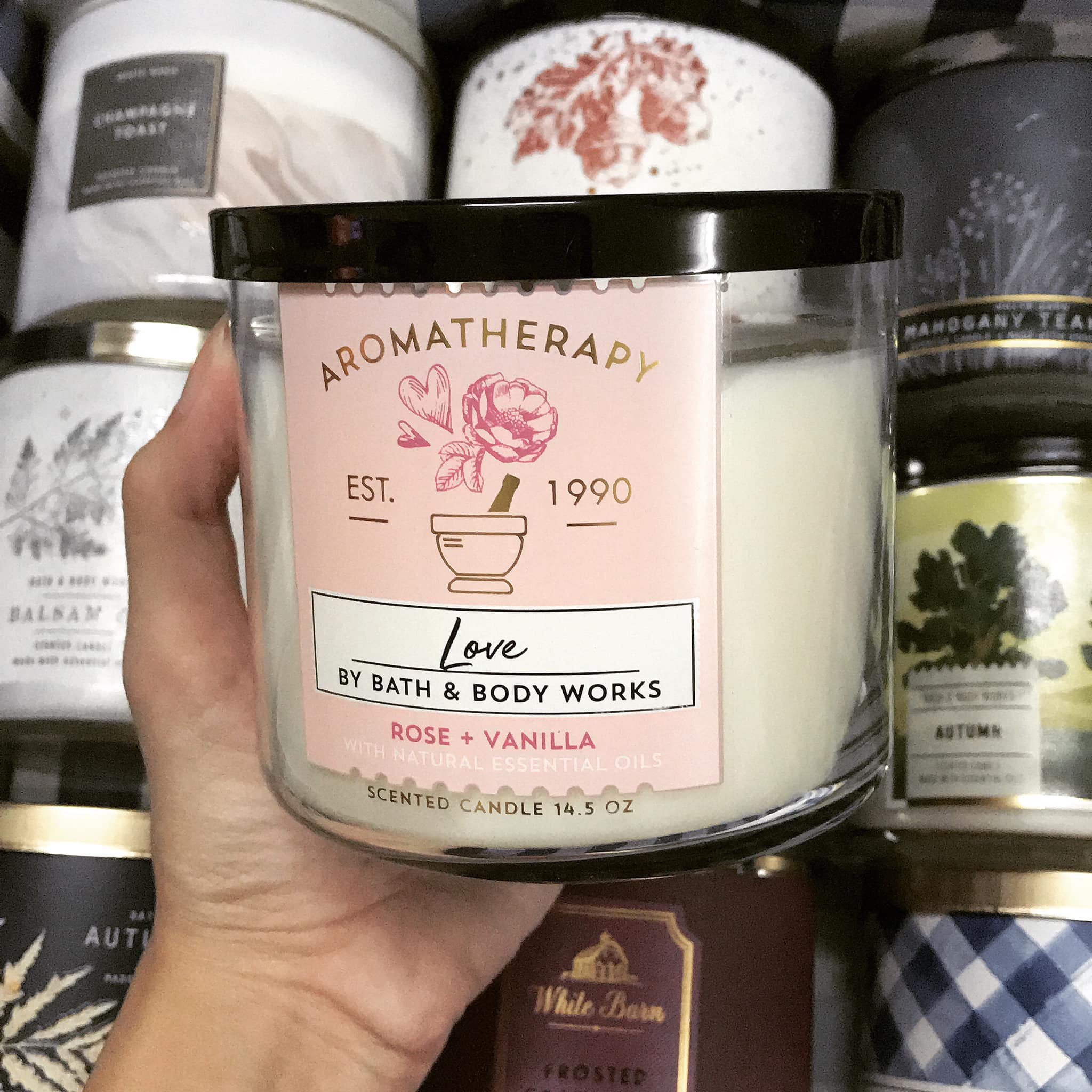 Nến thơm 1 bấc Bath&Body Works - mùi Aromatherapy Rose+Vanilla