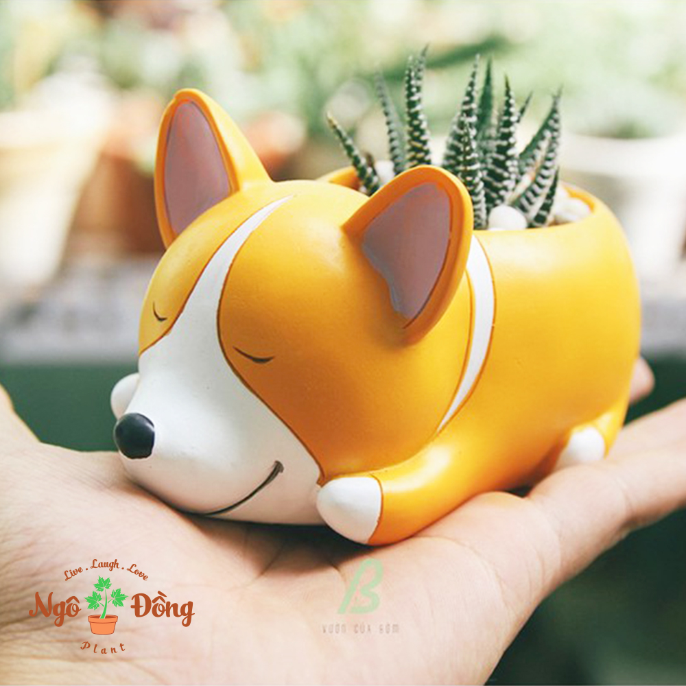 Chậu Trồng Cây Sen Đá Xương Rồng Cây Mini Văn Phòng Hình Chú Chó Corgi Nằm Say Ngủ Trang Trí Bàn Làm Việc