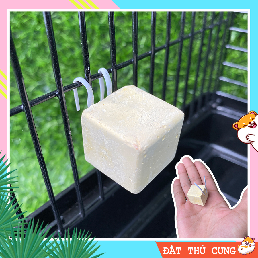 Đá mài răng viên an toàn dành cho Hamster
