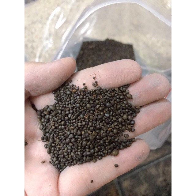 [HCM]Sỏi suối (1kg)-sạn suối nâu trải nền