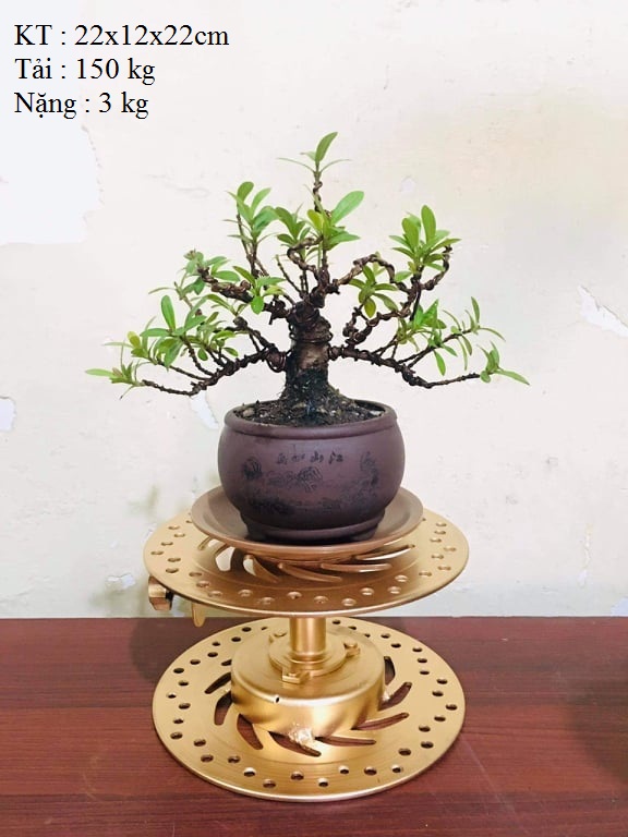 Bàn xoay tay size trung bonsai cây cảnh, kê đồ, chân chậu tải 150kg. 22C