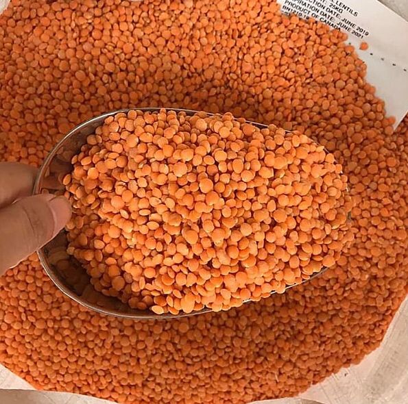 500gr Đậu lăng đỏ hữu cơ Canada