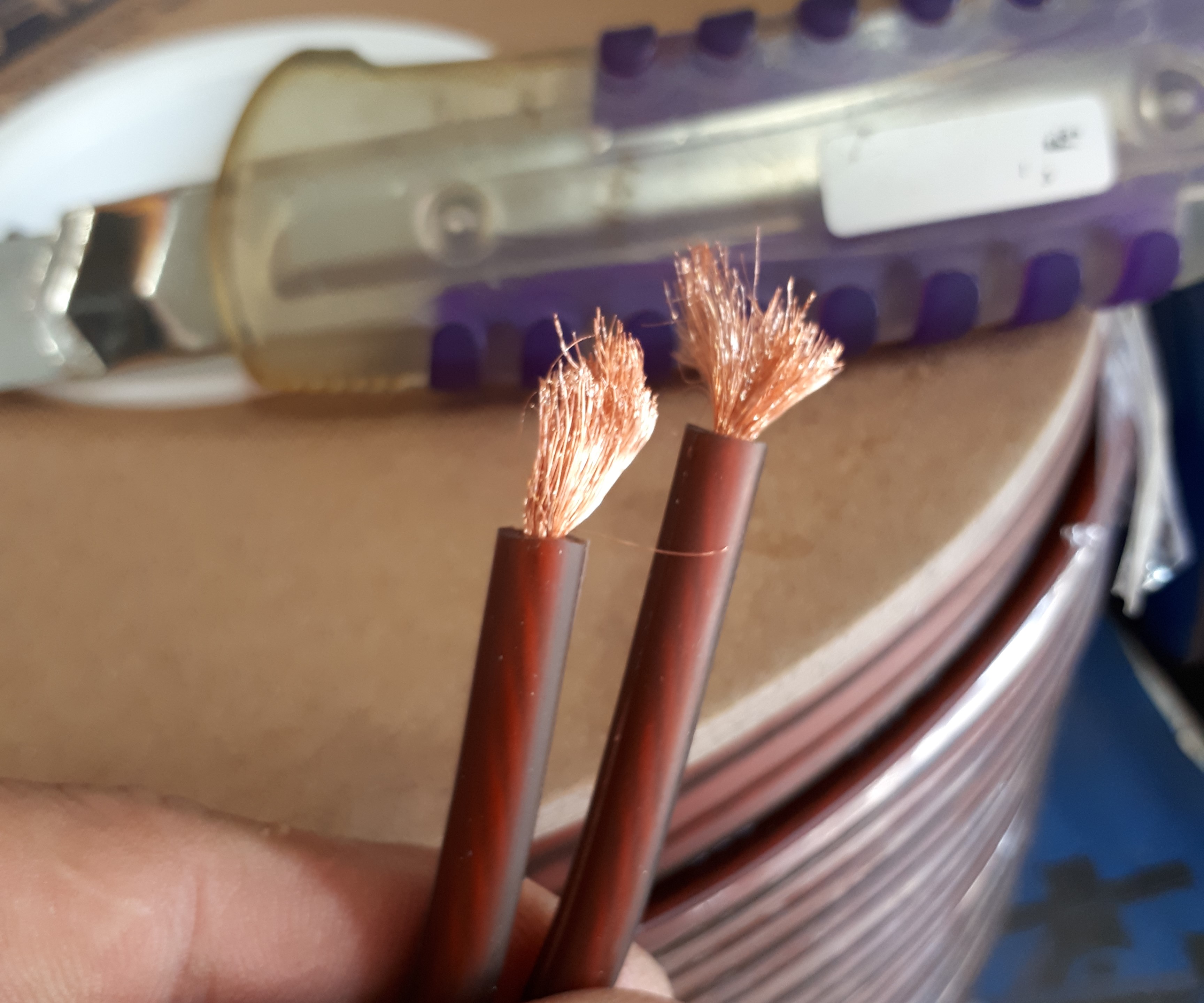 6M dây loa canare Nhật
