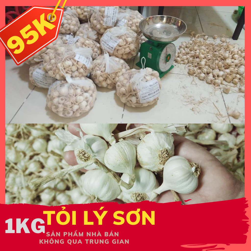 Tỏi Lý Sơn đặc sản Quảng Ngãi nhà bán loại 1kg loại cũ nhỏ nhiều tiếp chính gốc lý sơn rất tốt để phòng dịch