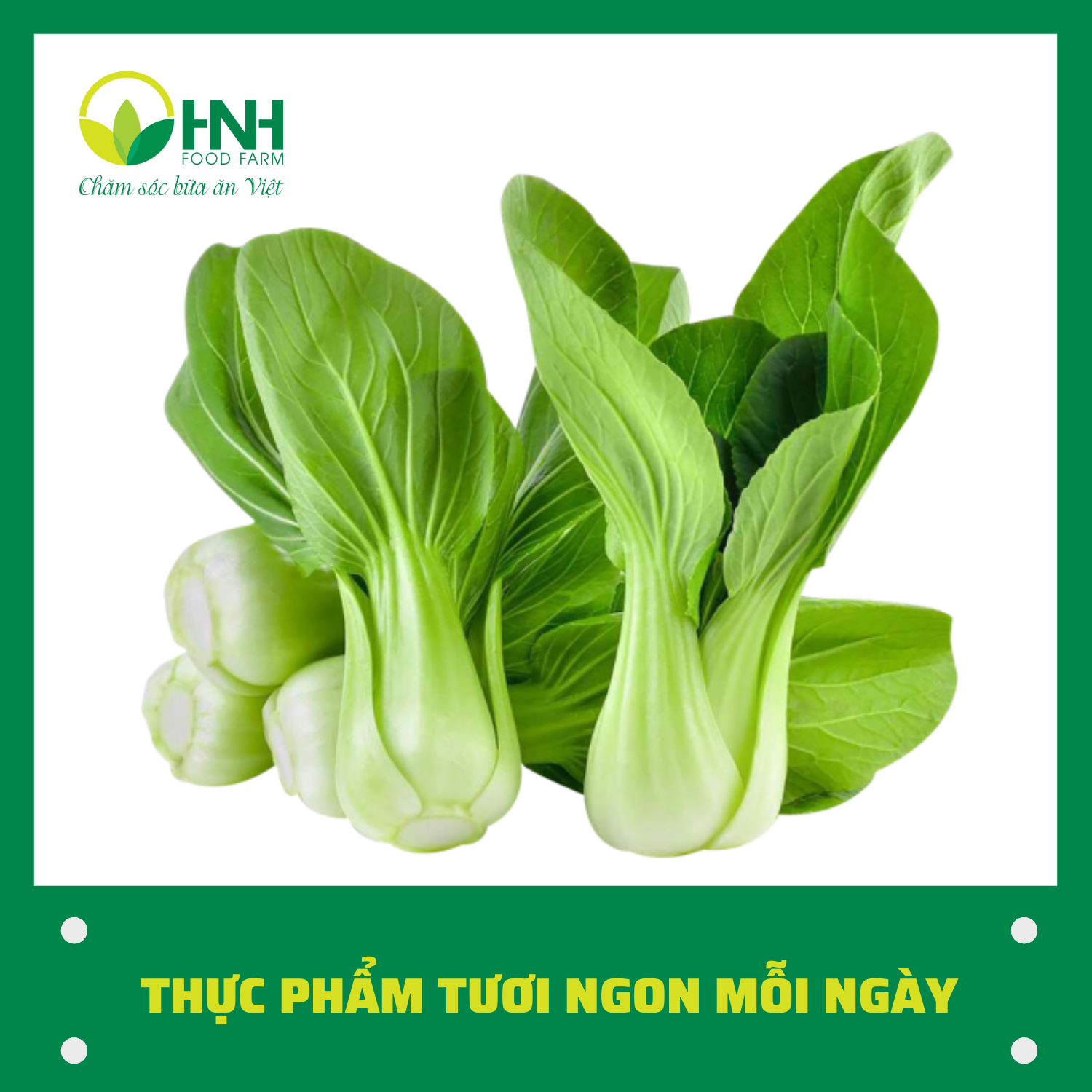 [CHỈ GIAO HÀ NỘI] Cải chíp sạch chuẩn ngon, trợ giá mùa dịch - HNH Food Farm