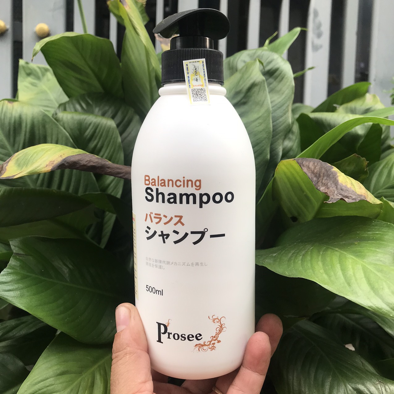 Dầu gội dành cho tóc gàu, dầu, nhanh bết, và hay rụng tóc Prosee Balancing 500ml