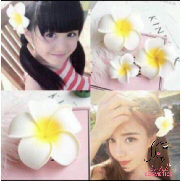 Hoa đại cài tóc đi biển loại to