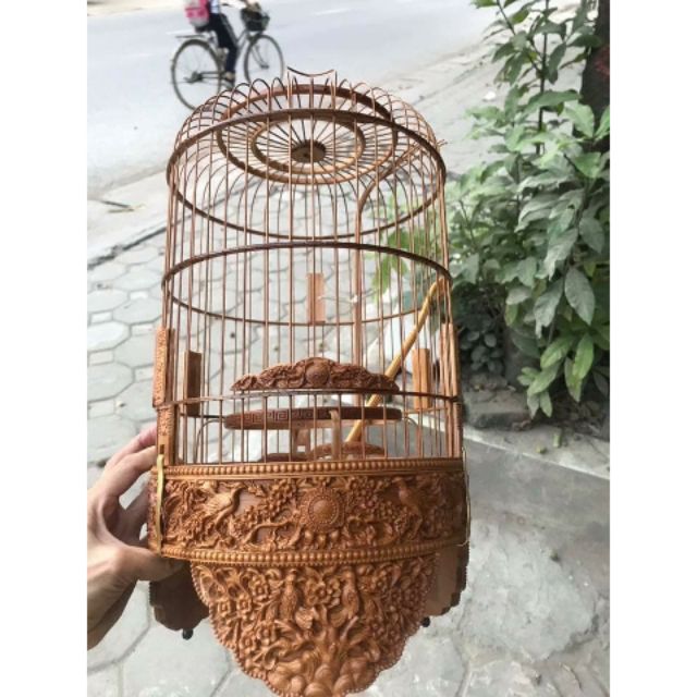 Lồng khuyên đục tặng đủ phụ kiện